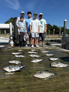 4 big fish caught in cruises and fishing trip in VA