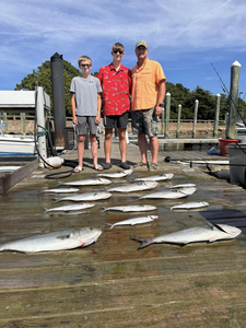 Three bluefish, 47 inches long, caught while fishing in VA