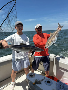Two huge cobia fish caught while fishing in VA