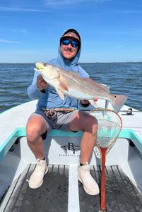 Redfish caught while fishing in Corpus Christi TX on boat