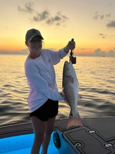 Redfish caught during fishing trip in Corpus Christi TX