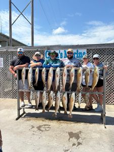 Successful fishing trip displaying multiple redfish catch in Corpus Christi TX