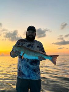 Redfish catch displayed during sunset fishing in Corpus Christi TX