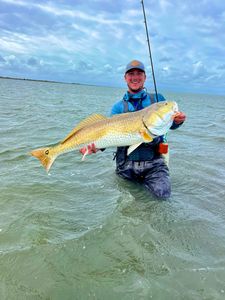 Large redfish caught while wade fishing in shallow water near Corpus Christi TX