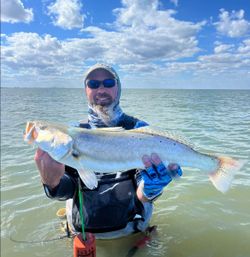Speckled trout catch while wade fishing in Corpus Christi TX coastal waters