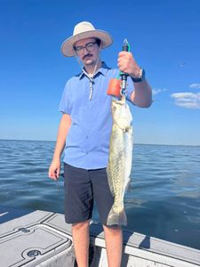 Speckled trout caught fishing in Corpus Christi TX waters