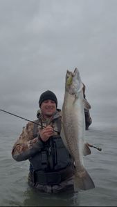 Large speckled trout caught while fishing in Corpus Christi TX waters