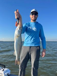 Speckled trout catch from Corpus Christi TX fishing trip
