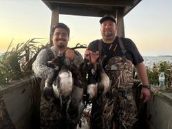 Two hunters displaying harvested waterfowl in Corpus Christi TX hunting blind near water
