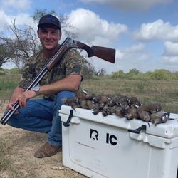Dove hunting success with multiple harvested birds displayed on cooler in Texas field
