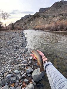 Freshly caught fish held over rocky riverbank in Newport PA with mountain bluffs in background