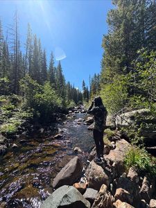 Person fishing by rocky stream in forested area with evergreen trees in Newport PA