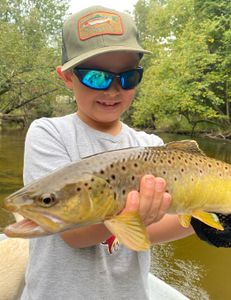 Large Trout in Pere Marquette River