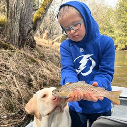 A single sea trout caught in Baldwin