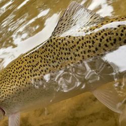 Stunning landscape shot of Baldwin, showcased the best of fishing