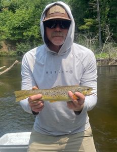 Sea trout fishing in MI