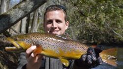 A fisherman holding a sea trout from MI