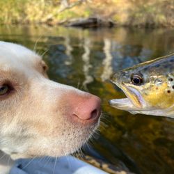 Two fishers catching fish in Baldwin
