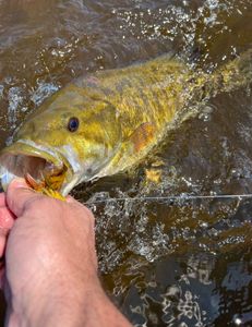 A picturesque fishing scene in Baldwin, showcasing the best catch of the day.