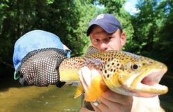 A person fishing in MI