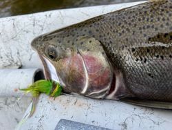 Angler with a great catch in Baldwin