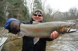 A single rainbow trout, 27 inches long, caught while fishing in MI