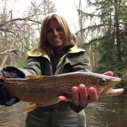 Photograph of a sea trout fish caught in MI