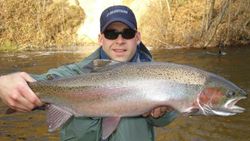 Photograph of a Pink Salmon, a 28-inch fish caught in MI