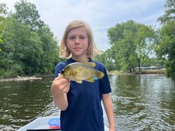 Rock bass fish caught by angler in Baldwin