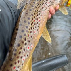 A scenic view of MI region during a fishing trip