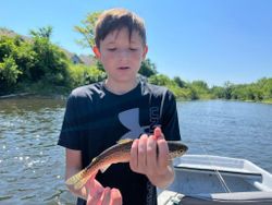 Angler catching a sea trout in Baldwin