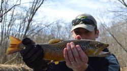 Sea trout caught while fishing in Baldwin