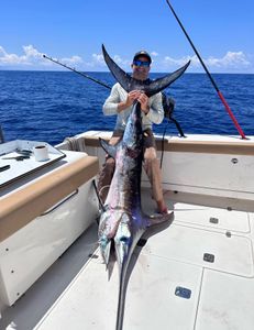 Swordfish in Miami caught in 1,800 feet