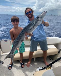 Barracuda in Haulover Inlet 