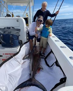 Swordfish in Haulover Inlet