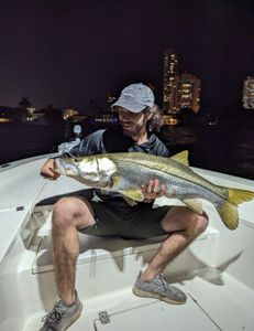 Night time snook fishing in Miami 