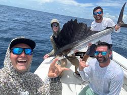 A massive Atlantic Sailfish caught while fishing in Miami Beach.