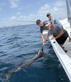 Three people fishing in Florida
