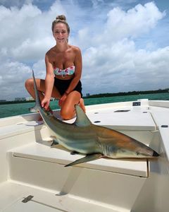 Blacktip shark, 40-inch fish caught while fishing in FL