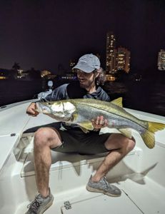 Snook fish caught while fishing in FL