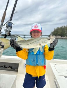 Snook fish caught while fishing in Miami Beach