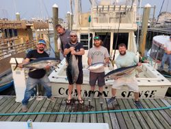 4 big African Pompano, Blackfin Tuna, and Yellowfin Tuna caught fishing in NJ