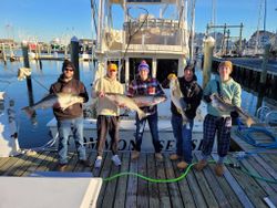 Striped bass fishing in NJ