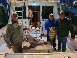 Two black drum fish caught in Cape May