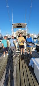 Three Blackfin Tuna caught while fishing in New Jersey