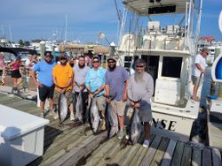 Two Blackfin Tuna and Little Tunny fish caught in Cape May