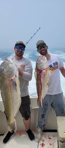 Two anglers fishing in New Jersey