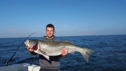 Striped Bass caught in NJ