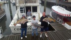 Three black drum fish caught in NJ