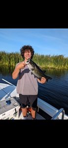Angler holding fishing rod in Palm Bay